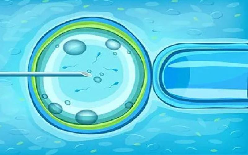 拼多多买试管代生